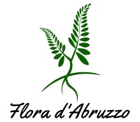 LOGO Flora d'Abruzzo
